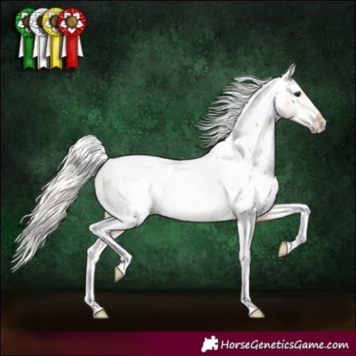 Horse Color:Silver Buckskin Tobiano Appaloosa 