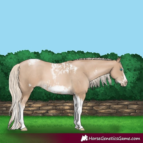 Horse Color:Chocolate Palomino Pearl Tobiano Frame  and Chocolate Palomino Pearl Splash Tobiano Frame 