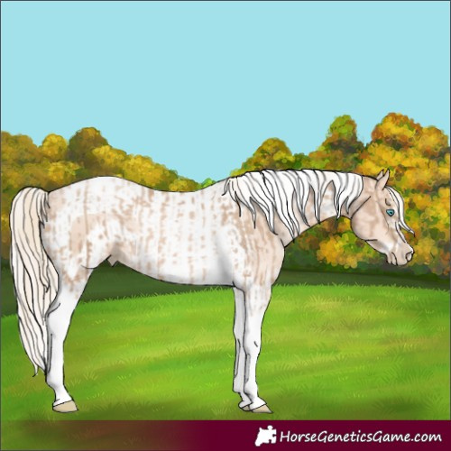 Horse Color:Chocolate Palomino Pearl Tobiano Frame  and Gold Cream Champagne Pearl Tobiano Frame 
