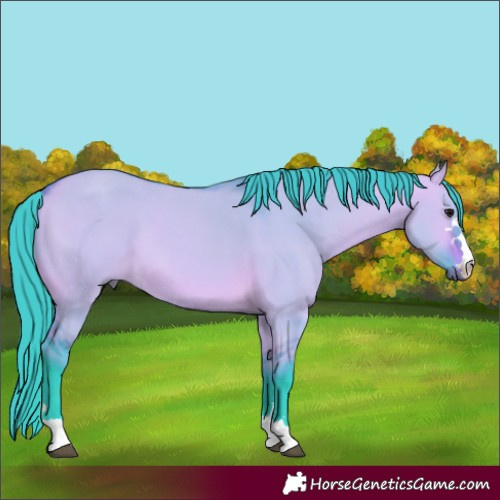 Horse Color:Unknown 