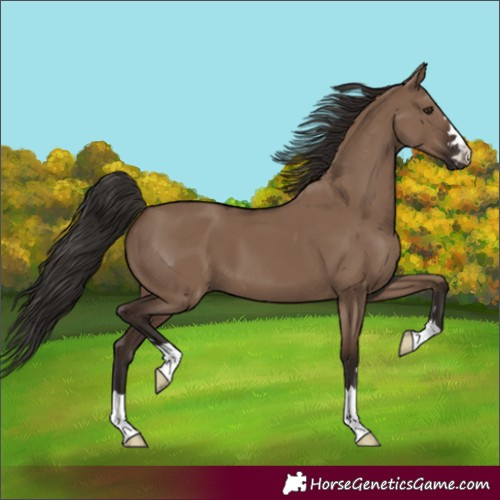 Horse Color:Liver Red Dun 