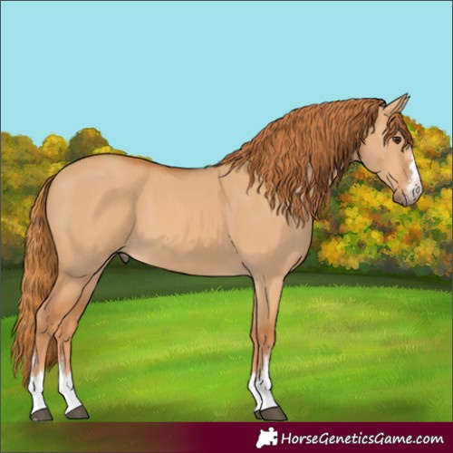 Horse Color:Unknown 