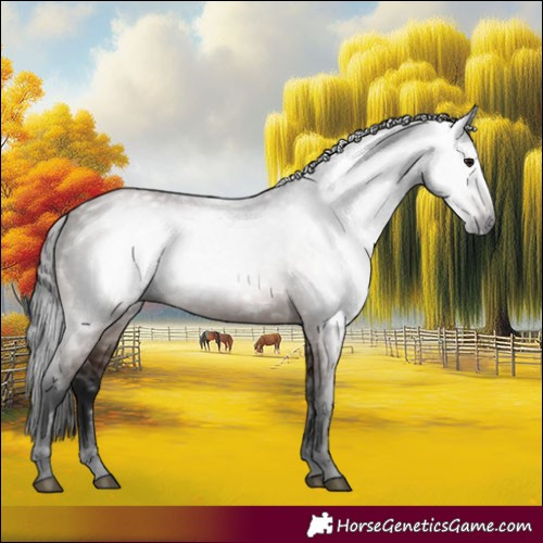 Horse Color:Gray Bay 