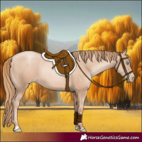 Horse Color:Gold Champagne Pearl Rabicano and Gold Champagne Pearl Rabicano