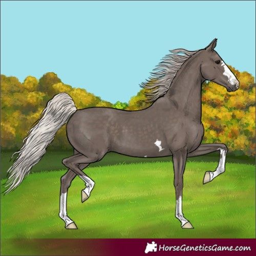 Horse Color:Silver Black 