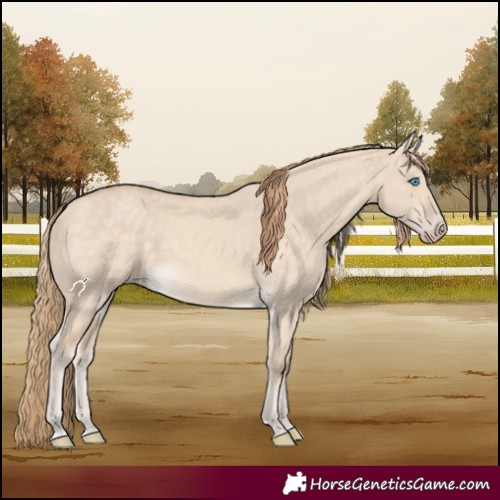 Horse Color:Perlino Dun 