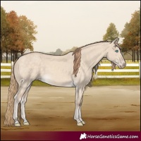 Horse Color:Perlino Dun