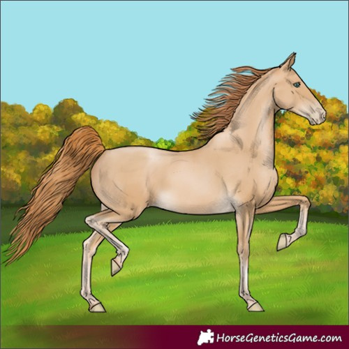 Horse Color:Smoky Black Pearl