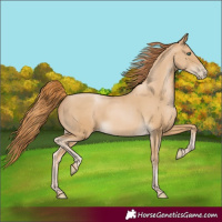 Horse Color:Smoky Black Pearl 