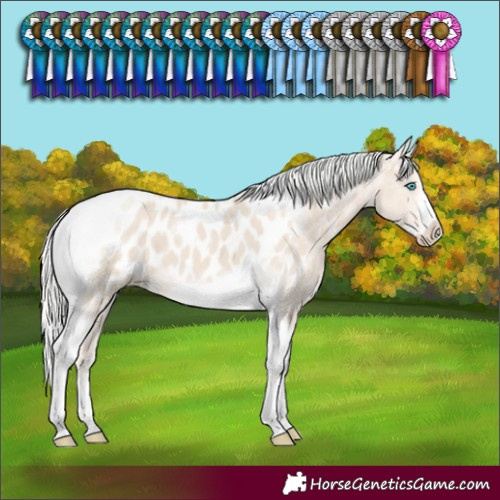 Horse Color:Silver Smoky Creme Tobiano Frame Blanket 