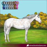 Horse Color:Silver Smoky Creme Tobiano Frame Appaloosa 