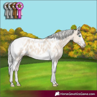 Horse Color:Silver Smoky Creme Tobiano Frame Appaloosa 