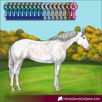 Horse Color:Silver Smoky Creme Tobiano Frame Appaloosa 
