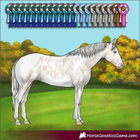 Horse Color:Silver Smoky Creme Tobiano Frame Blanket 