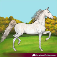 Horse Color:Perlino Sabino and Perlino Sabino