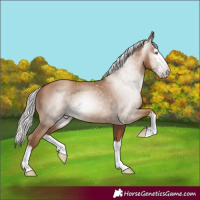 Horse Color:Gray Silver Classic Champagne Splash