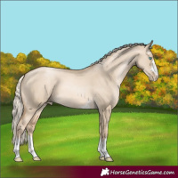 Horse Color:Chocolate Palomino Pearl Dun 