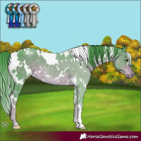 Horse Color:Watercolor White Spotted Liver Chestnut