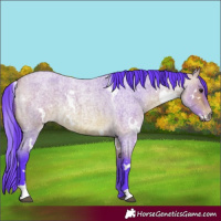 Horse Color:Watercolor White Spotted Bay Roan