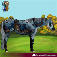 Horse Color:ERROR: UNKNOWN ANOMALY