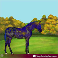 Horse Color:ERROR: UNKNOWN ANOMALY