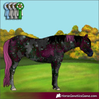 Horse Color:ERROR: UNKNOWN ANOMALY