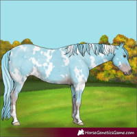 Horse Color:Watercolor White Spotted Liver Chestnut