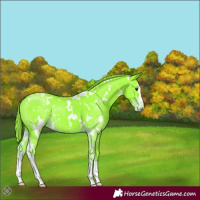 Horse Color:Watercolor White Spotted Liver Chestnut Sabino