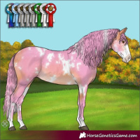 Horse Color:Watercolor White Spotted Buckskin Sabino