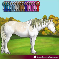 Horse Color:Watercolor White Spotted Red Dun Splash Rabicano
