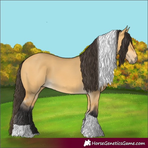 Horse Color:Buckskin Dun Tobiano 