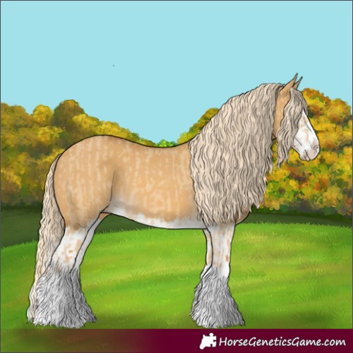 Horse Color:Palomino Dun Splash and Palomino Dun Splash
