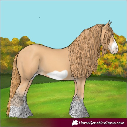 Horse Color:Unknown 