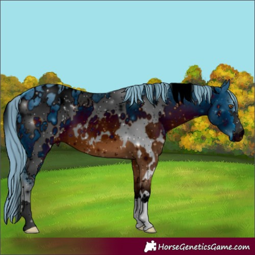 Horse Color:ERROR: UNKNOWN ANOMALY