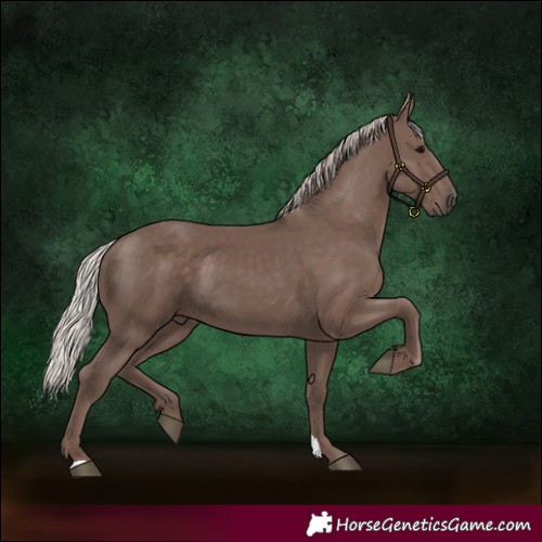 Horse Color:Silver Black