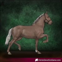 Horse Color:Silver Black 