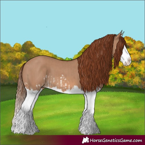 Horse Color:Red Dun Splash and Red Dun Splash