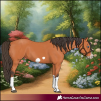 Horse Color:Bay Splash Frame