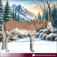 Horse Color:Red Dun Splash  and Red Dun Splash 