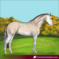 Horse Color:Bay Roan Dun Sabino Splash 