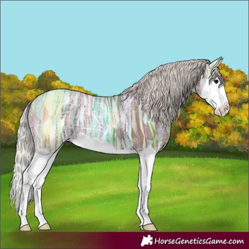 Horse Color:Silver Black Ice Splash 