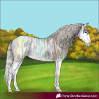 Horse Color:Silver Black Ice Splash