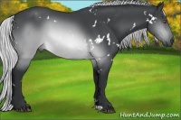 Horse Color:White Spotted Silver Brown Chinchilla 