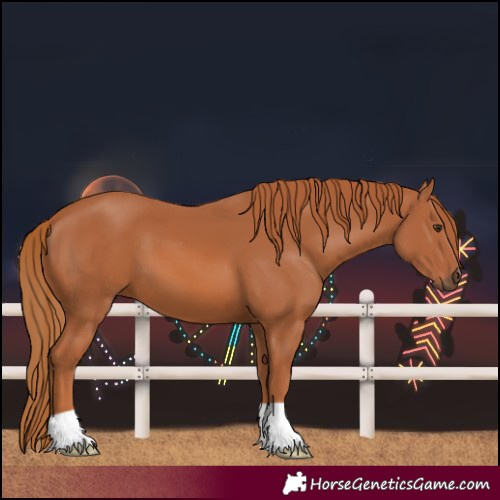 Horse Color:Chestnut 