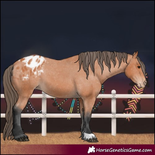 Horse Color:Bay Varnish 