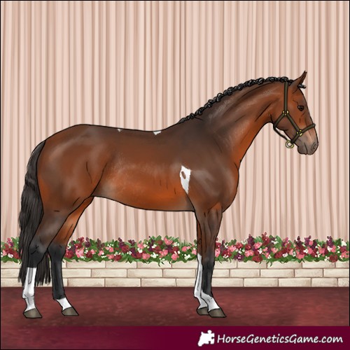 Horse Color:Bay Tobiano Rabicano 