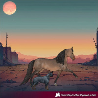 Horse Color:Brown Dun