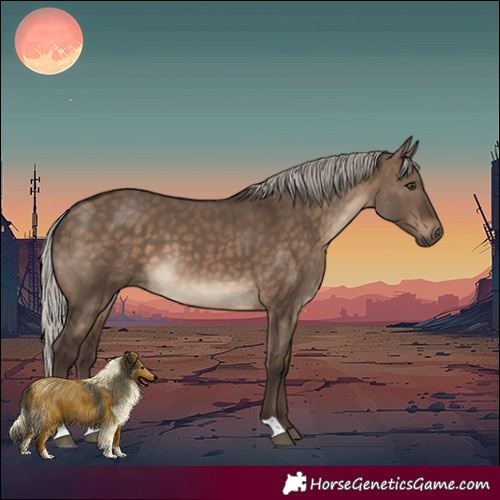 Horse Color:Silver Brown Dun