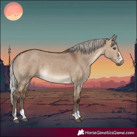 Horse Color:Silver Brown Dun