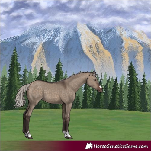 Horse Color:Silver Brown Dun 